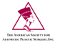 The Aesthetic Society